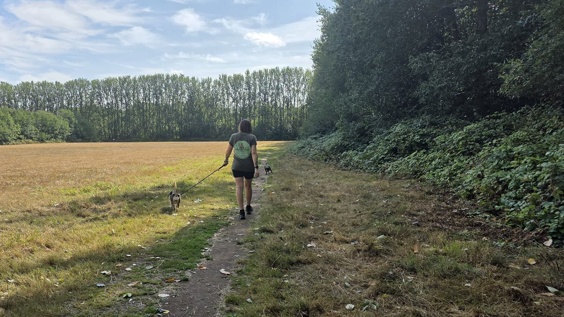 Two local walkers with dogs in a Kent park