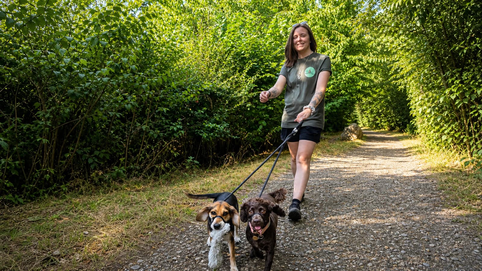 A Paws & Claws pet carer walking two dogs on a woodland path