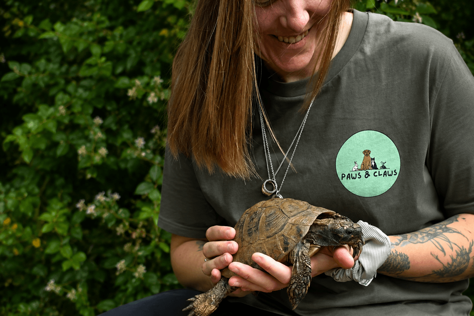 A Paws & Claws pet carer holding a tortoise during a drop-in visit